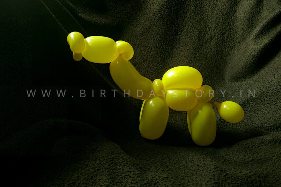 Balloon Modelling Artist for Birthday Party - Birthday Story