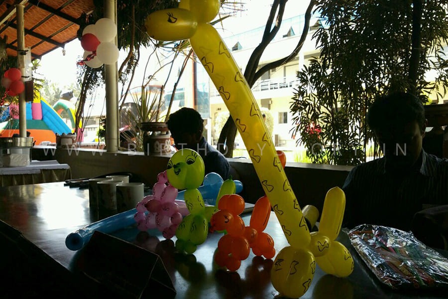 Balloon Modelling Artist for Birthday Party - Birthday Story