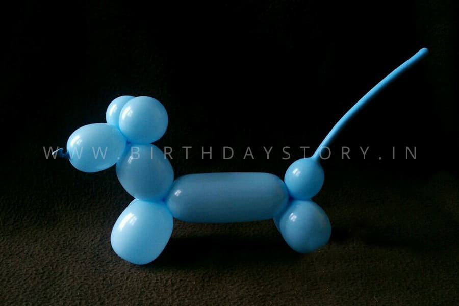 Balloon Modelling Artist for Birthday Party - Birthday Story