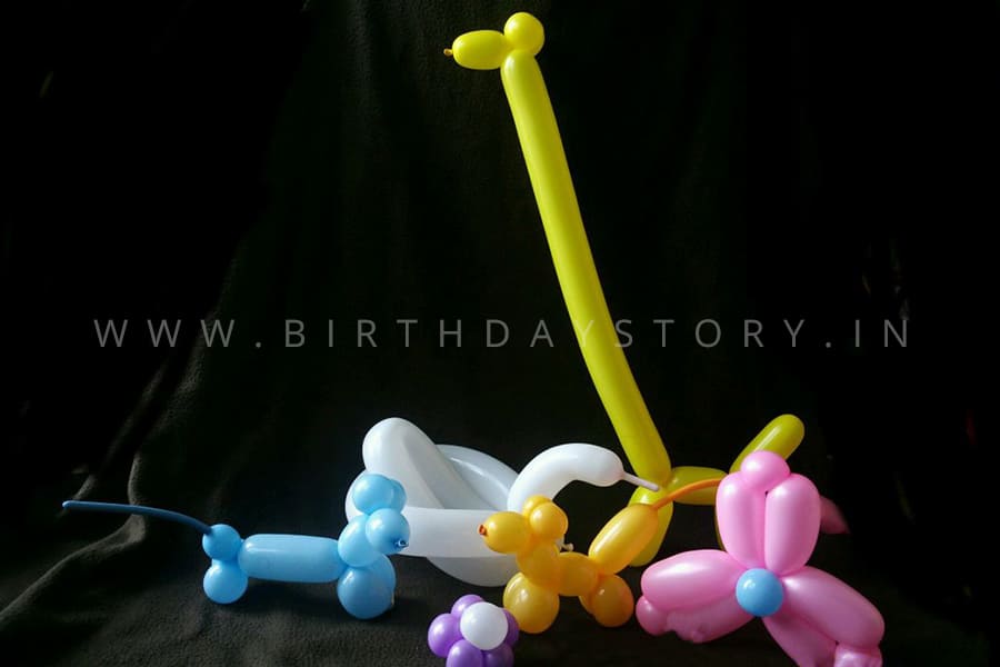 Balloon Modelling Artist for Birthday Party - Birthday Story