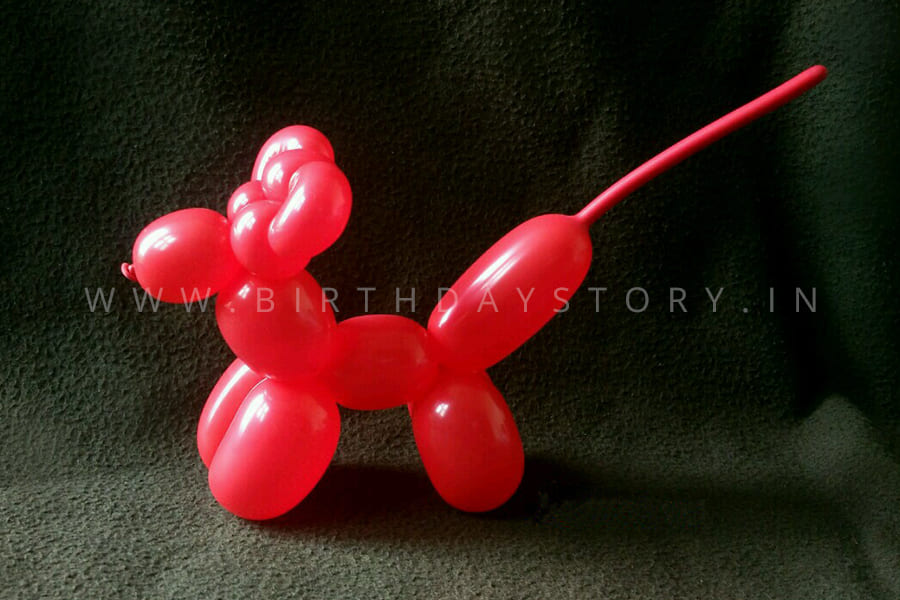 Balloon Modelling Artist for Birthday Party - Birthday Story