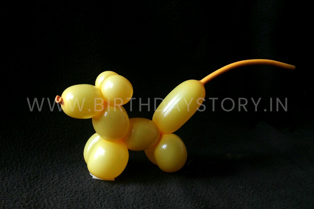 Balloon Modelling - Birthday Story